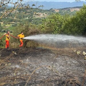 bartinda aniz yangini kontrol altina alindi vJ3PZHgu