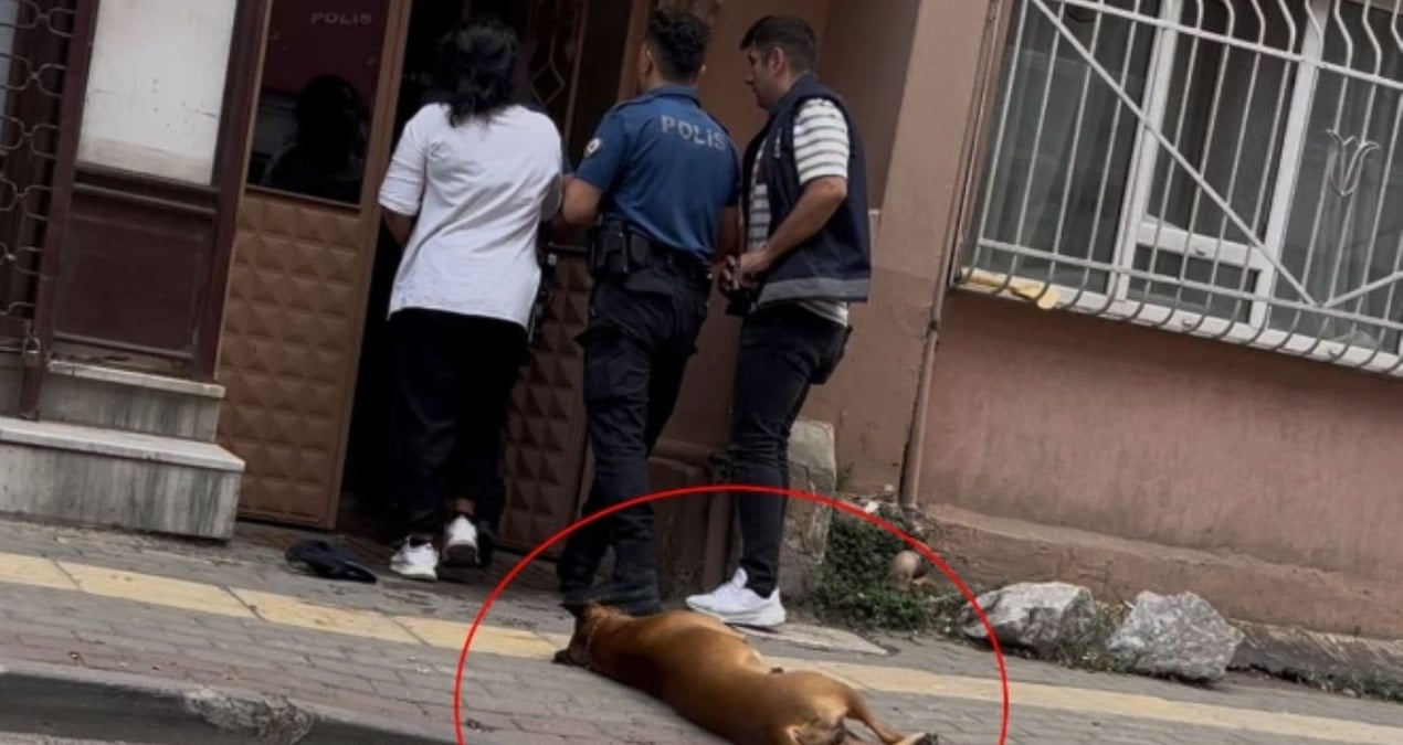 ihbara giden polislerden birini kopek digerini de sahibi isirdi fAh4uu7a