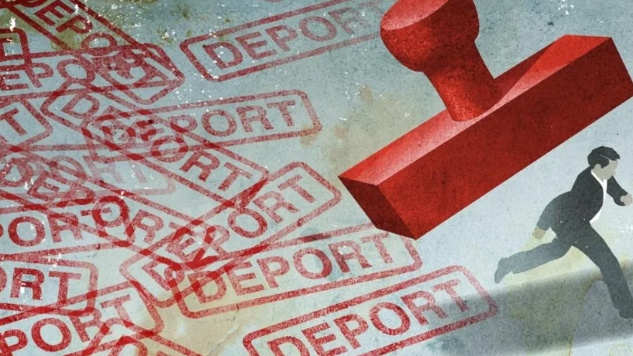 almanyada sinir disi edilme yuzde 20 artti BJXLyLi9.jpg