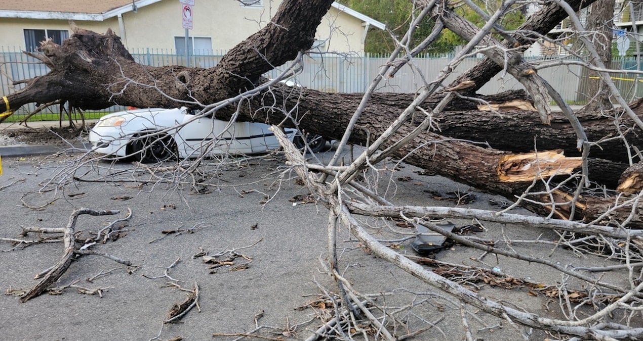 asiri hava olaylari rekor fatura kesti 100 milyar dolari asti Y3HDtlV2.jpg