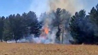 sarikamista orman yangini iiHOhSKx.jpg