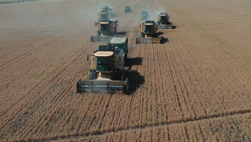 tigem mevsimlik isci alimi basvuru ekrani tarim isletmesi mudurlugu isci alimi kadro dagilimi ve basvuru sartlari igkcZWmC