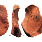 Neandertaller ‘Pastel’ Kullanarak Boya Yapmış