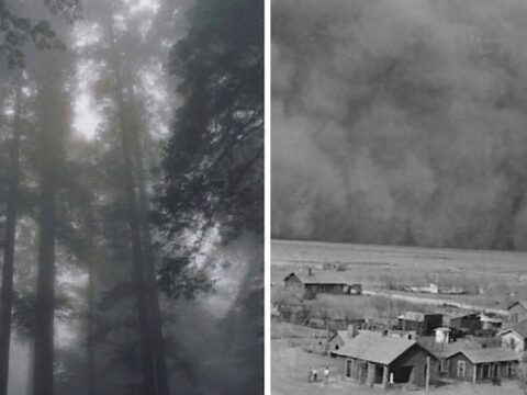 Bir felaketle basladi 90 yil once dikilen 220 milyon agac bir kitanin kaderini degistirdi rbrR5TtJ