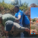 Bodrumda yasli bir kadin evlerin yakininda cikan yanginda son anda alevlerin arasindan kurtarildi olayin xqGAABqT